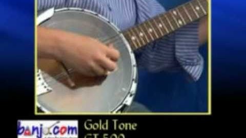 Banjo.com video: demo of a new Gold Tone GT 500 Banjitar
