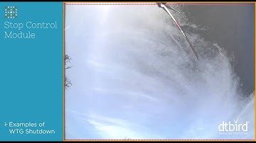 Examples of effective WTG Stops for raptors with DTBird