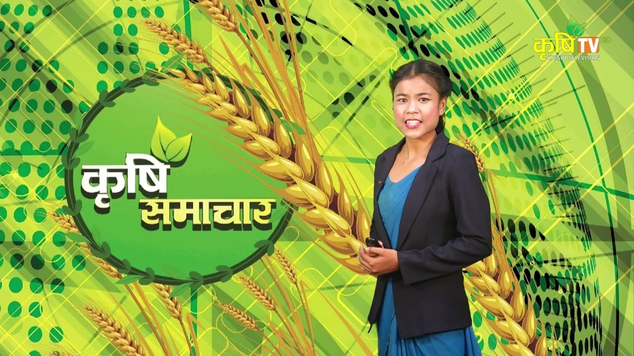 Новости сельского хозяйства со всей страны || Krishi Television HD