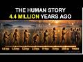 The story of human evolution in Africa over 4.4 million years, from Ardi to Us: thundereduc
