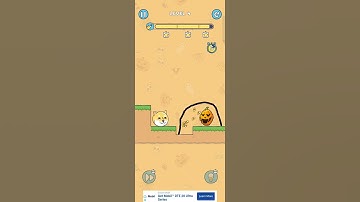 Doge: Rescue Drew To Save Level 4