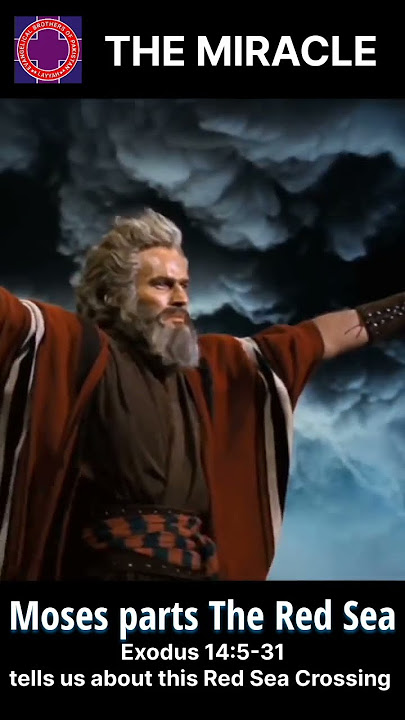 Moses Parts The Red Sea (The Red Sea Crossing) #moses #shorts #redsea
