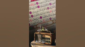 #قرآن #سورة_الحجرات #اكسبلور