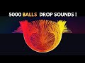 Unbelievable 5000 Balls Flood Teaches Music😭