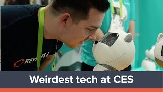 The Weirdest and Coolest Tech at CES 2019