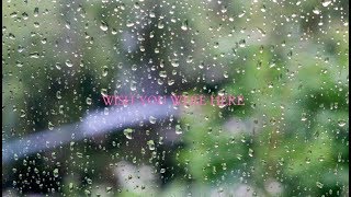 종일 비 내리던 날 RAINY DAY 10 HOURS VIDEO l 휴식을 위한 영상 ㅣ수면유도영상 ㅣ 빗소리 ㅣ 마음이 편안하게 해주는 소리 ㅣ 백색소음