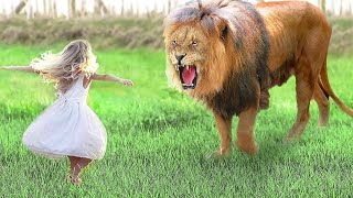 Menina reencontra com leão de estimação após 7 anos…