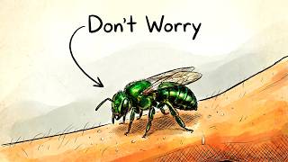 If This GREEN BEE Lands On You Don't Freak Out