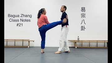 Bagua Zhang - Class Notes #21 // 5. April 2022