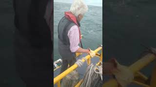 Boyando el submarino nazi