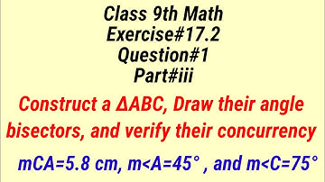 Construct a ∆ABC, Draw their angle bisectors, and verify their concurrency || Qazi Math Academy