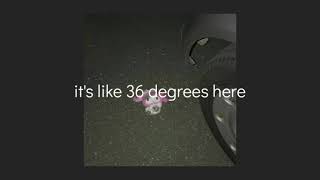 I Cut Myself - Talkshow Boy Lyrics