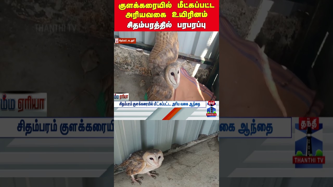 owl | tnforest | forestguard | chidambaram