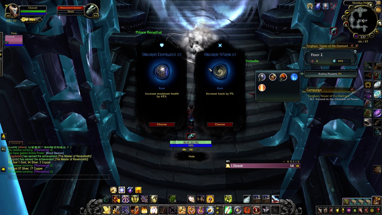 Torghast: Tower of the Damned - WoW Shadowlands - Questing - Ret Paladin