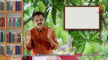 KITE VICTERS STD 09 Kerala paadaavali Class 04 (First Bell-ഫസ്റ്റ് ബെല്‍)