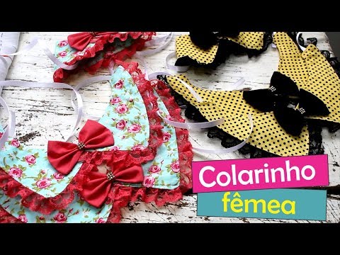 #4 Moda Pet: Colarinho fêmea