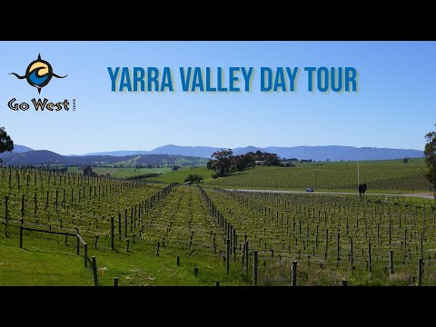 go west yarra valley tour