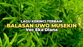 Download Lagu Lagu Kerinci Terbaik JAWABAN UWO MUSEKIN || Voc Eka Diana MP3 Download Lagu Lagu Kerinci Terbaik JAWABAN UWO MUSEKIN || Voc Eka Diana MP3