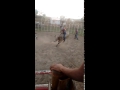 Geminho do rodeio em touros treino no João Izzo Bragança Paulista SP