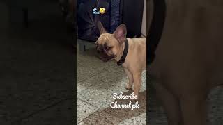 Pani Pee Kar Ye Phir Badmashi Kar Ne Lage