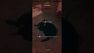 #vondel #2026 #callofduty #pvp #solo #dmz #dmzclips #mw2 #execution #knifeskills #haha