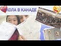 ШКОЛА В КАНАДЕ // Как Выглядит Моя Школа ??