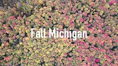 Spectacular 4K Drone Footage of Michigan's Fall Colors