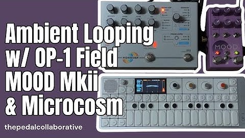 Ambient Looping Demo with Mood Mkii + Microcosm // ft. OP-1 Field  #synth #taptempo #freeze