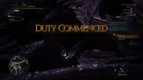 When your custom character is in a cutscene