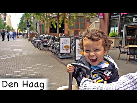 Germany to Den Haag by Train