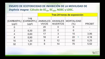 Informe de resultados del ensayo de algas