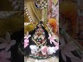 Radha Naam #premanandjipravachan  #shyam  #radheradhenaam #barasana #viralvideo #trending