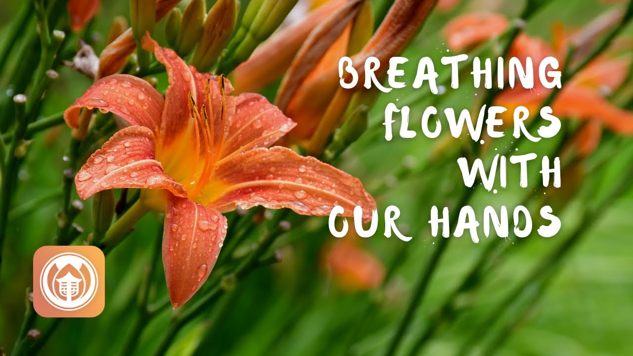 Breathing Flowers with Our Hands Sister Dang Nghiem YouTube