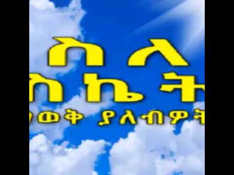 ቪዲዮ: የአኗኗር ዘይቤዎች