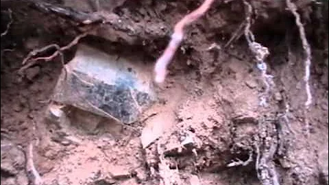 My Best Colorado Amazonite Yet.wmv