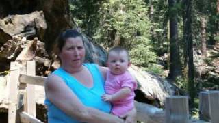 Memorial to Tina Nichols