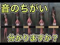 【第五人格】音の高さを覚えよう！！解読器の進み具合を音で判断する！