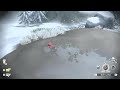なんか周りよりでかい色違いヒスイゾロア【PLA】【ポケモンレジェンズアルセウス】