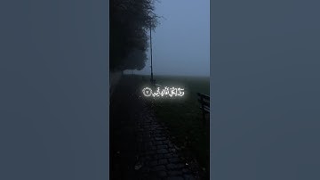 القران الكريم 📚🍂 || القارئ محمد اللحيدان || تلاوة خاشعة || ارح سمعك 😴🎧