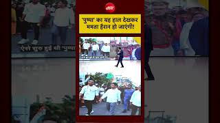 Syed Suhail | Bengal TMC Crisis:'पुष्पा' का ये हाल देखकर Mamata हैरान हो जाएंगी!| #bjp #mamata #tmc