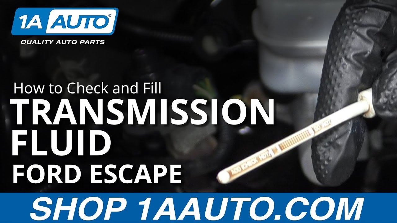 How to Check and Fill Transmission Fluid 2008-12 Ford Escape | 1A Auto