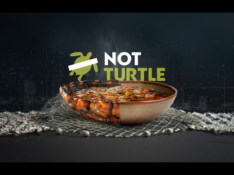 NotTurtle - The story of how our AI & team created the first dish to help save endangered animals