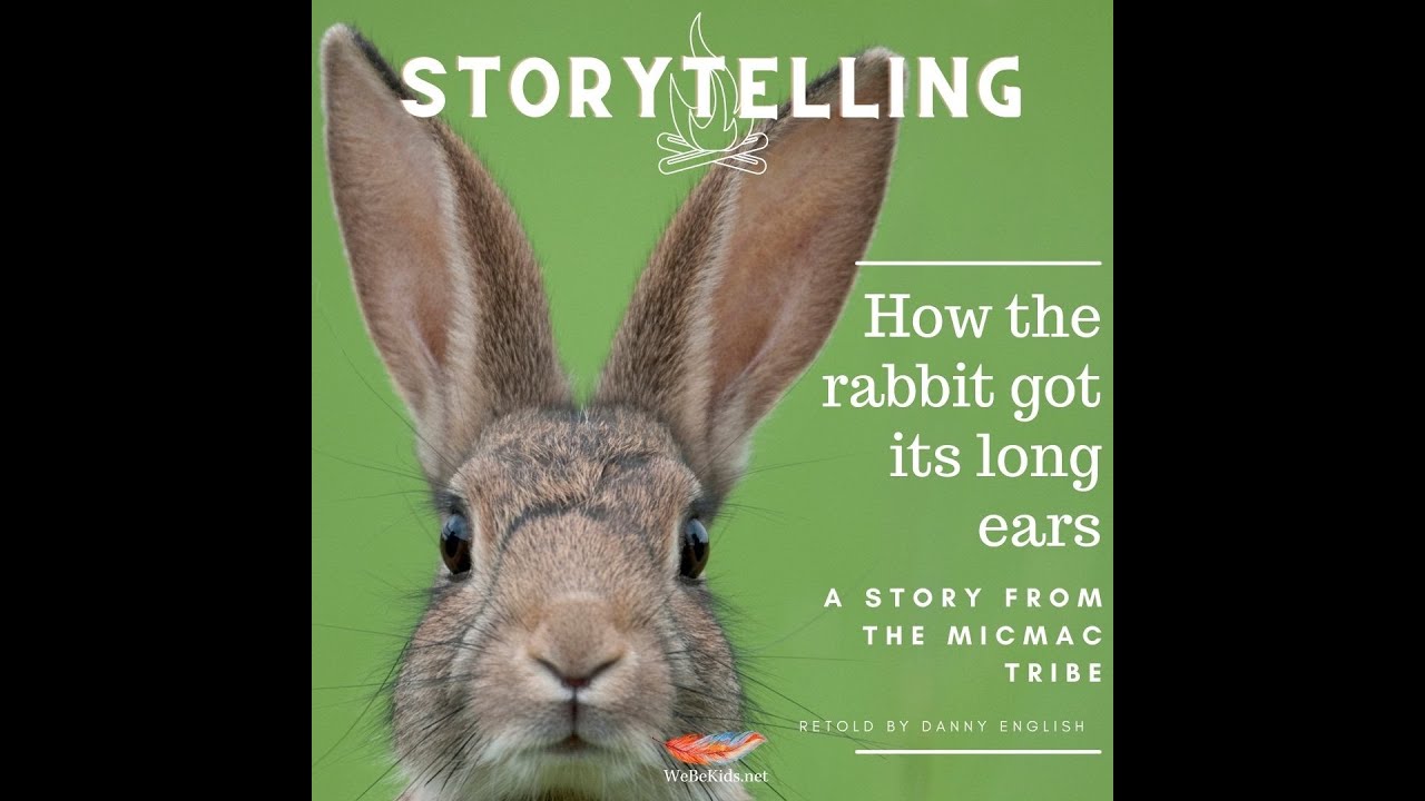 Has a Rabbit got short Ears ответ. Why Hares have got long Ears. Rabbits have got short Ears перевод на русский. Why Rabbits have got short Tails Верещагина слушать.