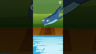 Surprise Eggs Fish 🐟 | Tinga Toons- Hindi Rhymes #nurseryrhymes #cartoon #video #animation