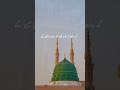 Surah Al-Mulk Will Intercede For You | Powerful Night Recitation Benefits#barakah #dua #daily Quran