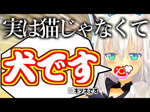 キツネでも猫でもなく犬だった?フブキちゃん【ホロライブ切り抜き/白上フブキ/ホロライブ】