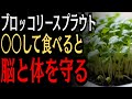 生だけじゃない？ブロッコリースプラウトの栄養を活かす食べ方｜食事から始めるデトックス習慣