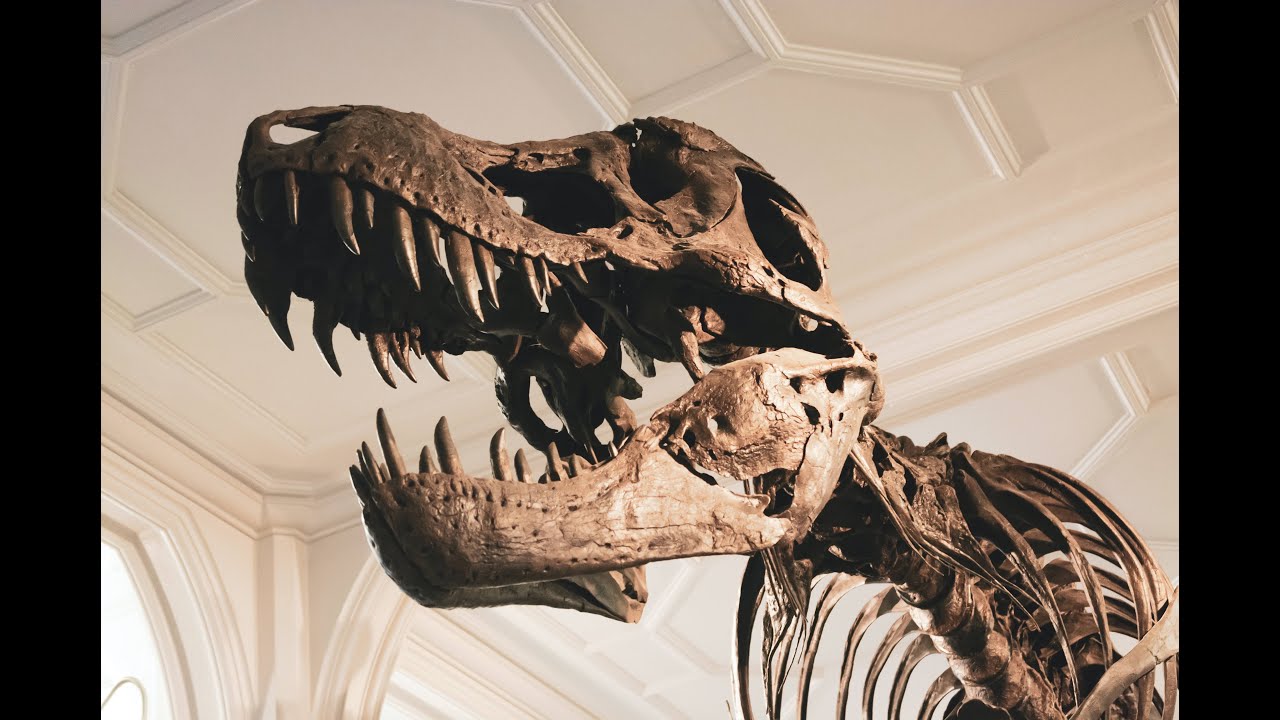 TRex King of the dinosaurs YouTube