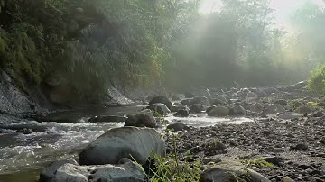 سورة الجن بصوت القارئ أحمد عيسى المعصراوي برواية ابن ذكوان