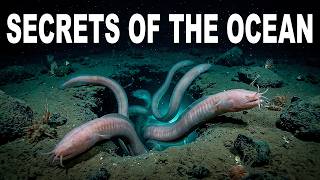 We Don't Know What's Hiding in 95% of the Ocean